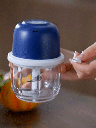 Mini Electric Chopper (Imported)
